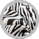 Zebra Cavallino